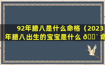 92年腊八是什么命格（2023年腊八出生的宝宝是什么 🐴 命格）